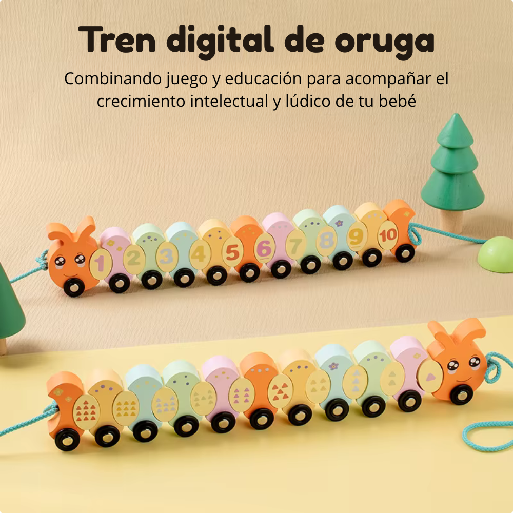 TREN ORUGA ARTICULADO EDUCATIVO MONTESSORI - 4
