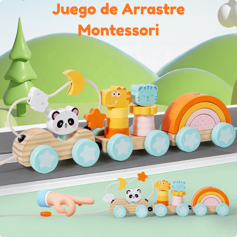 TREN EDUCATIVO  ANIMALES DE MADERA MONTESSORI - 5