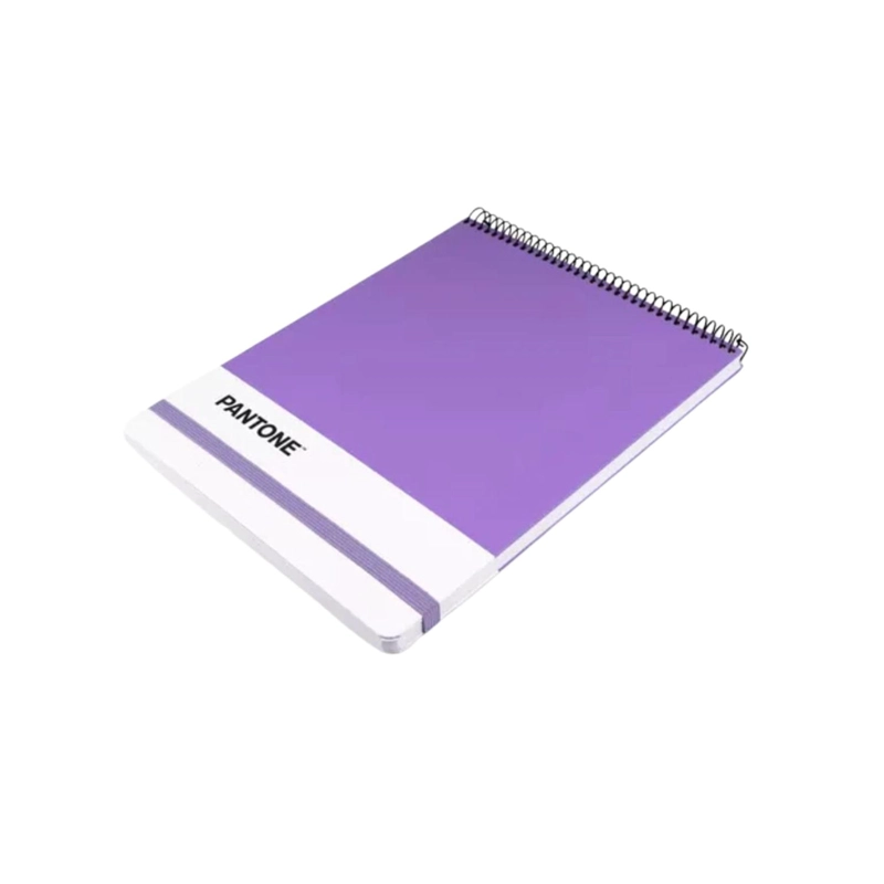 CROQUERA PANTONE CARTA CIERRE CON ELASTICO 100 HOJAS 80G/M2 - 2