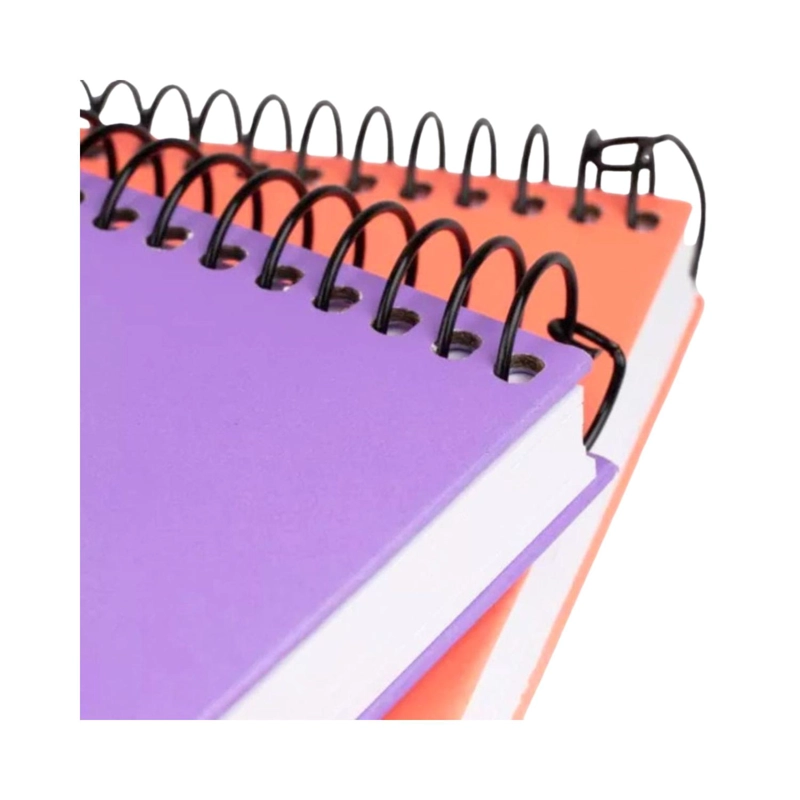 CROQUERA PANTONE CARTA CIERRE CON ELASTICO 100 HOJAS 80G/M2 - 3