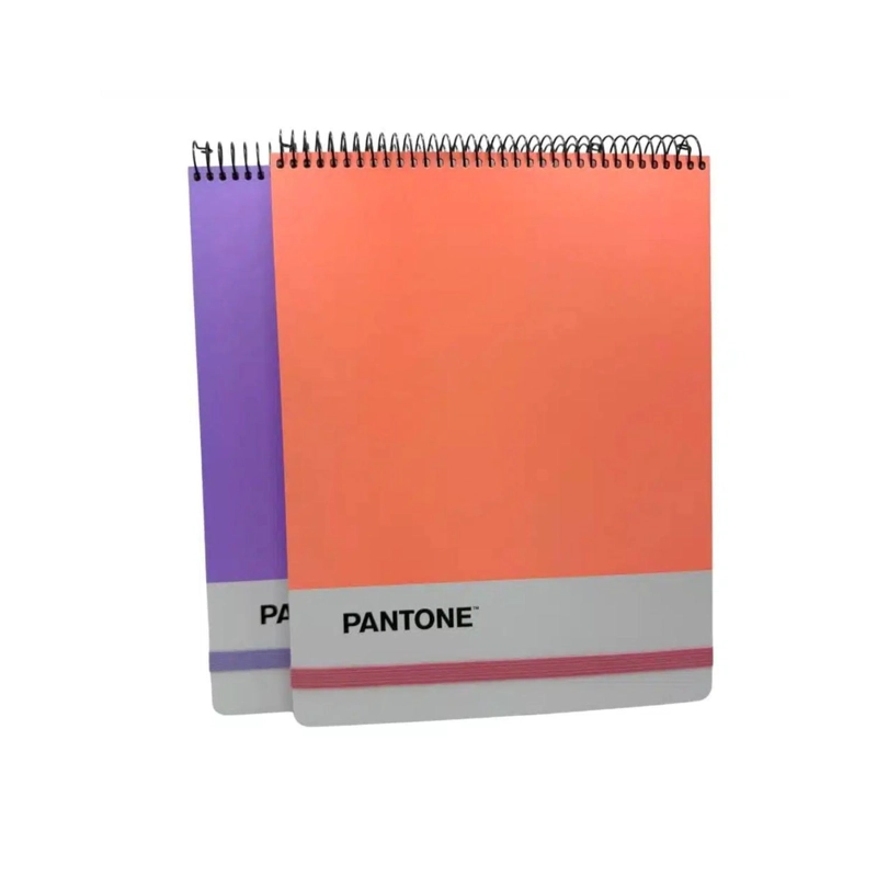 CROQUERA PANTONE CARTA CIERRE CON ELASTICO 100 HOJAS 80G/M2 - 5