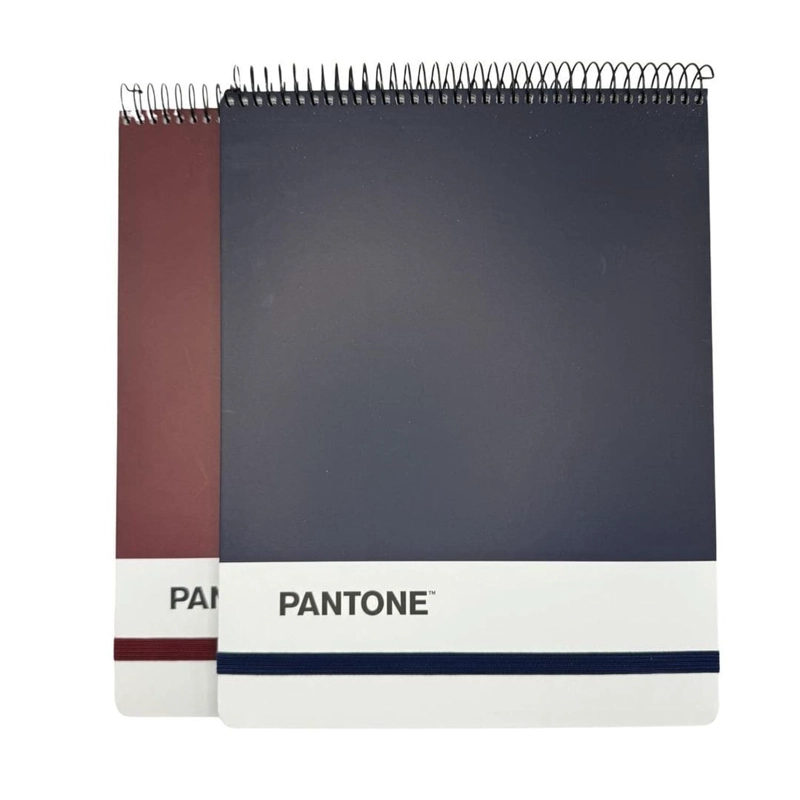 CROQUERA PANTONE CARTA CIERRE CON ELASTICO 100 HOJAS 80G/M2 - 5