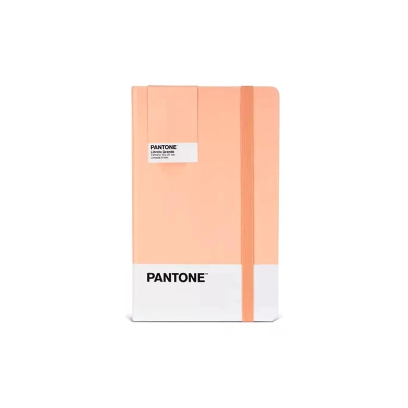 LIBRETA GRANDE 21X13CM CON ELASTICO. PANTONE - 1