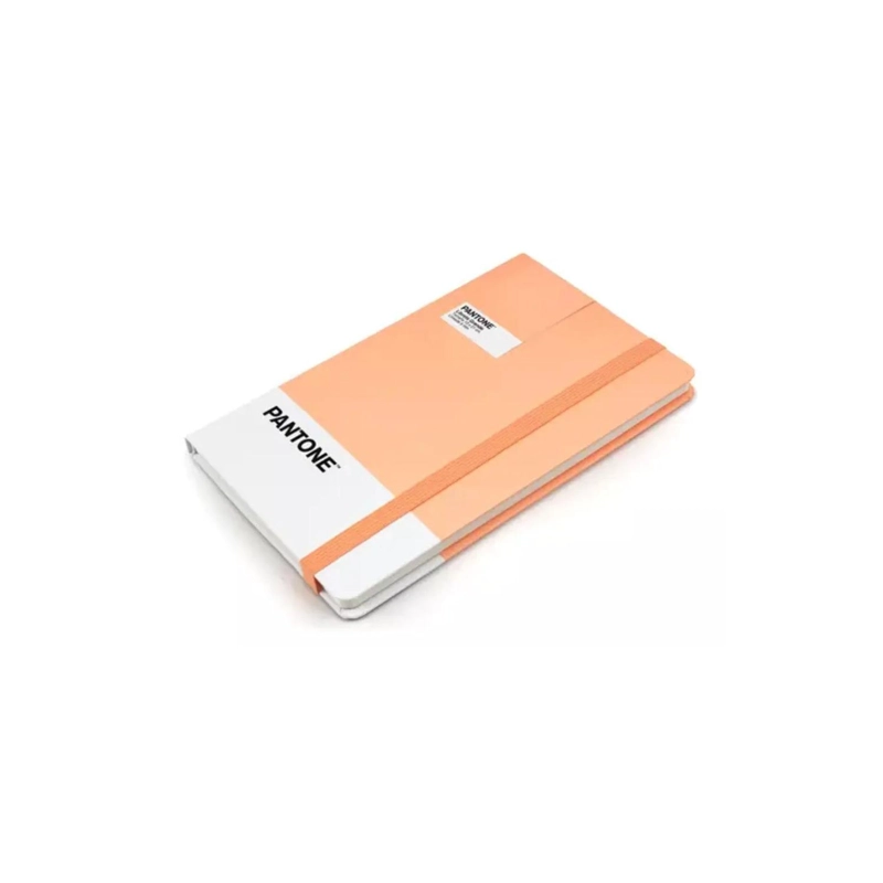 LIBRETA GRANDE 21X13CM CON ELASTICO. PANTONE - 2