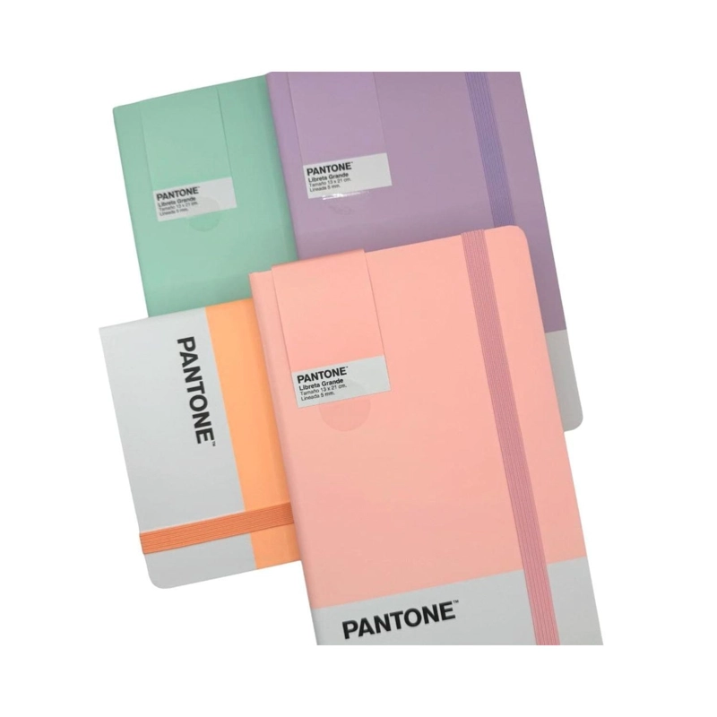 LIBRETA GRANDE 21X13CM CON ELASTICO. PANTONE - 8