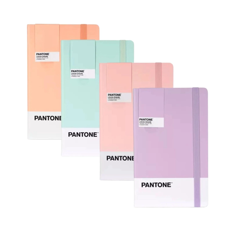 LIBRETA GRANDE 21X13CM CON ELASTICO. PANTONE - 9