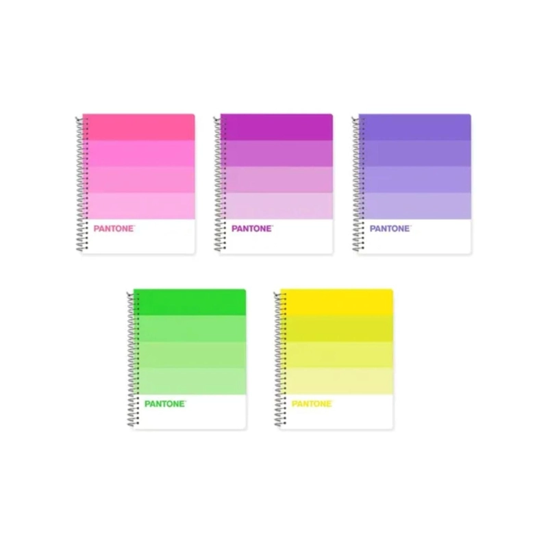 CUADERNO MEDIO OFICIO (17X21,2CM) 150 HOJAS. PANTONE - 5
