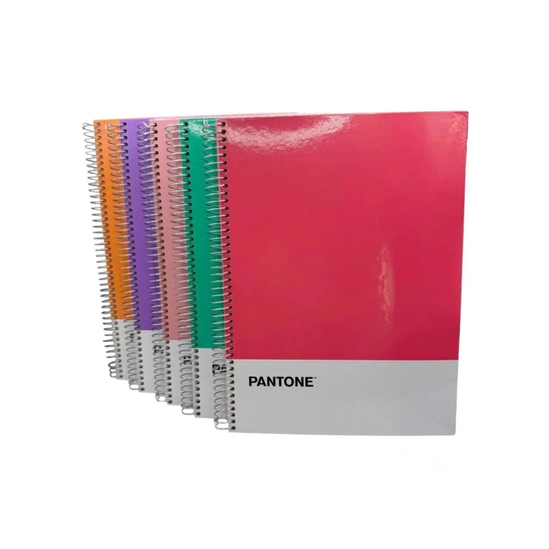 CUADERNO CARTA (28X20,5 CM) 120 HOJAS. PANTONE - 6