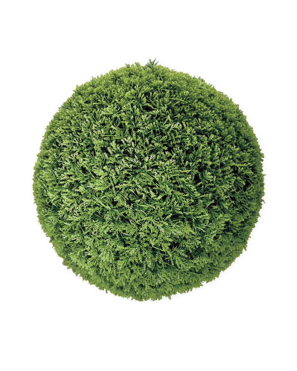 ESFERAS DECORATIVAS 30 CM PINO VERDE MARVY - 2