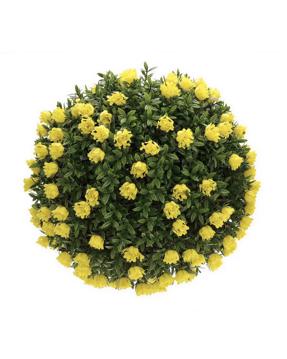 ESFERAS DECORATIVAS 30 CM SOL DORADO MARVY - 2