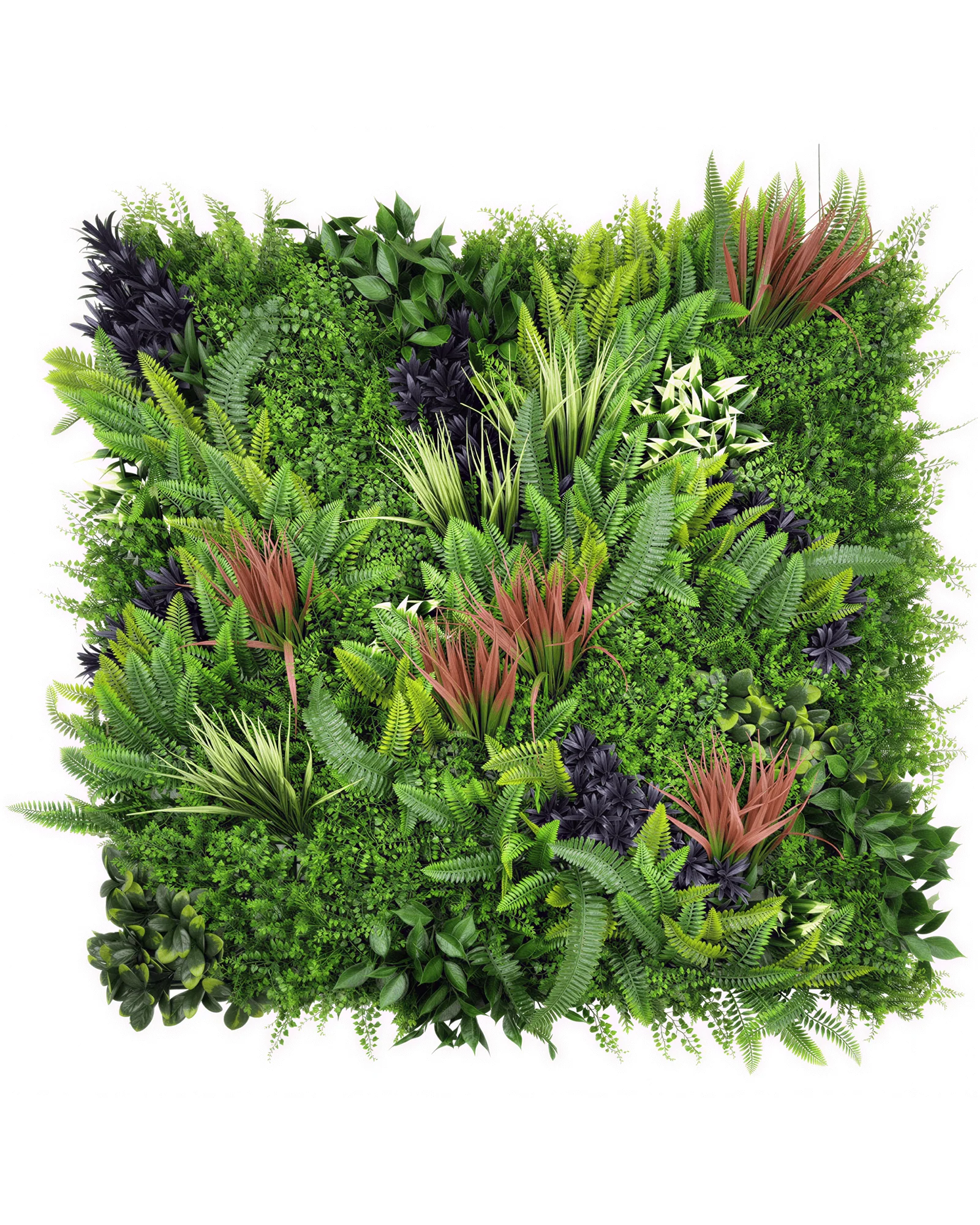 JARDIN VERTICAL 50X50 CM OASIS TROPICAL 01 (OASIS) - MARVY - 1