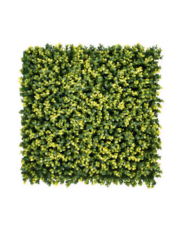 JARDIN VERTICAL 50X50 CM VERDE AMBAR (ECONOMICO) - MARVY - 1