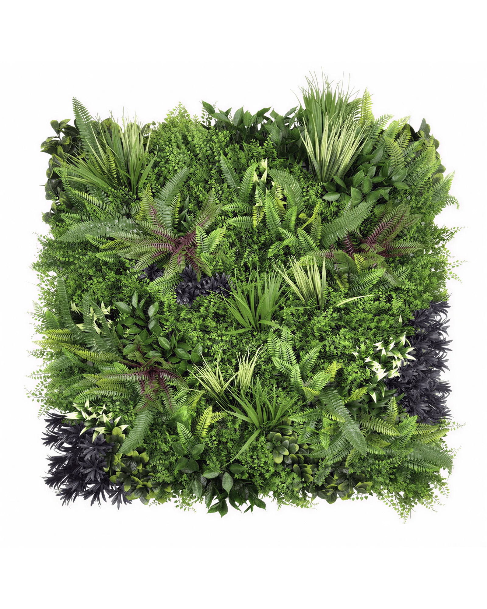 JARDIN VERTICAL 50X50 CM OASIS TROPICAL 02 (OASIS) - MARVY - 1