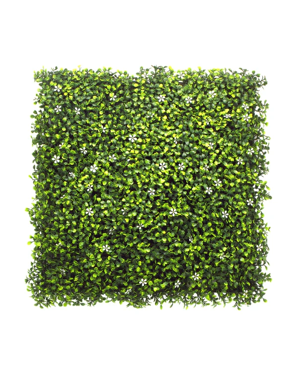 JARDIN VERTICAL 50X50 CM BOXWOOD JAZMIN (ECONOMICO) - MARVY - 1