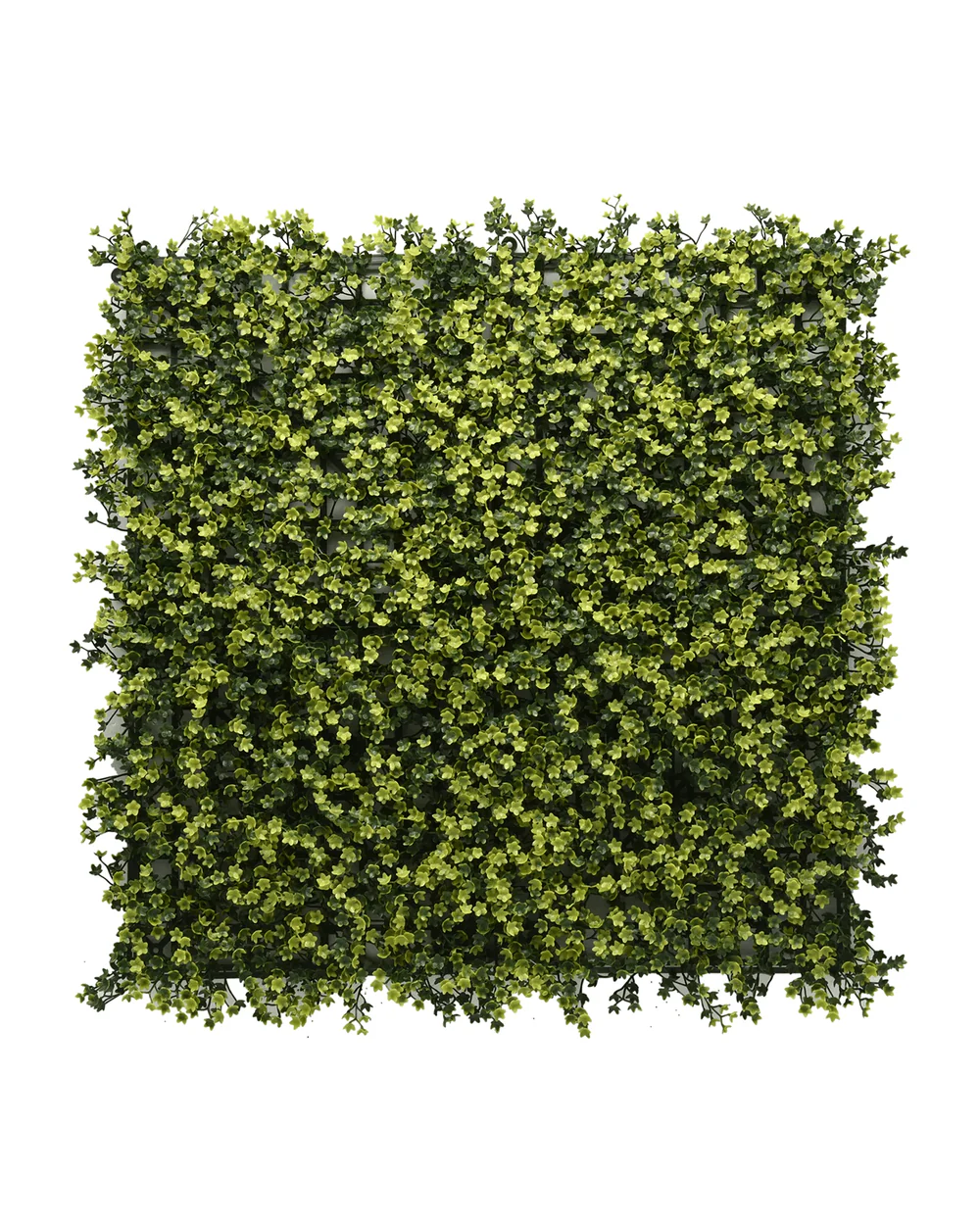 JARDIN VERTICAL 50X50 CM AURA DORADA (ECONOMICO)  - MARVY - 1