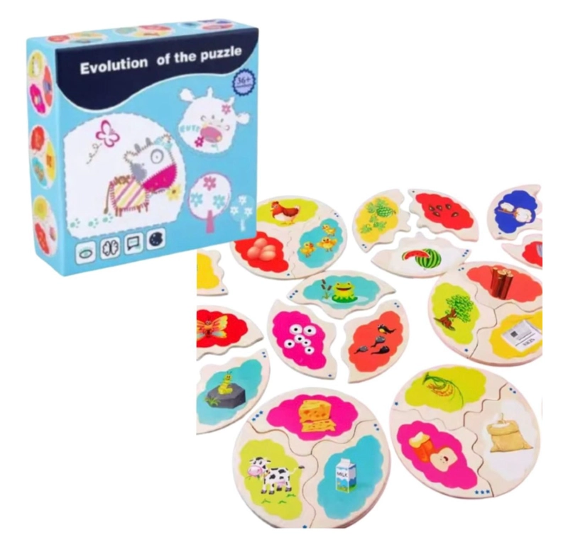 ROMPECABEZAS DIDACTICO MADERA CICLO EVOLUTIVO NIÑOS - 1