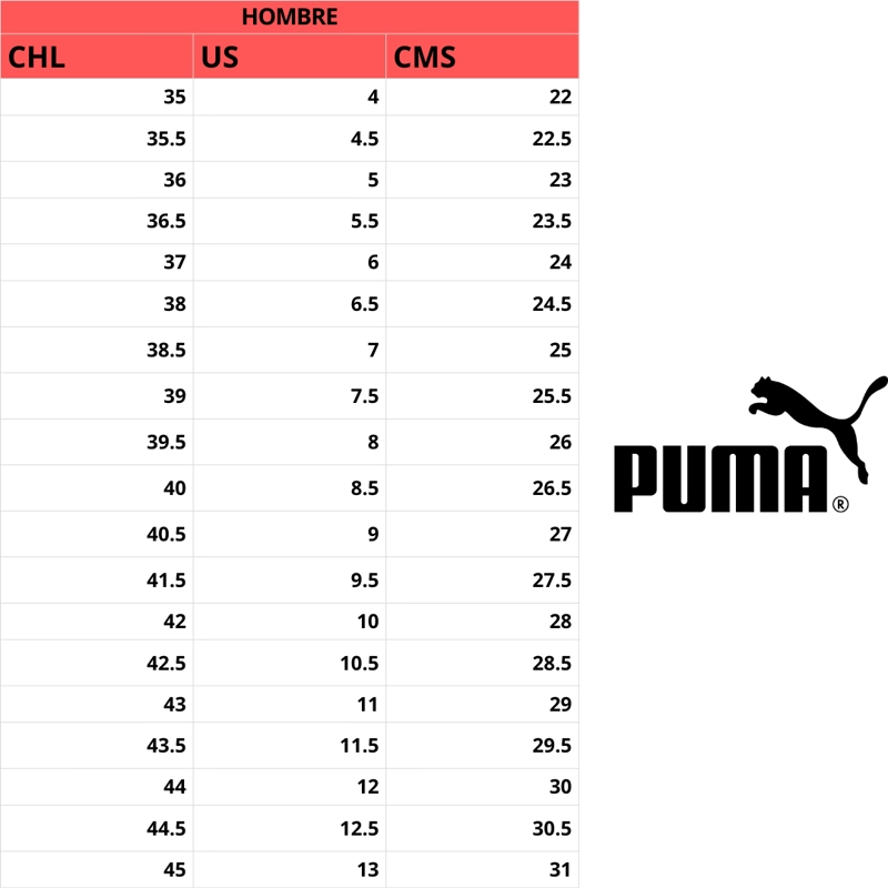 ZAPATILLAS DE RUNNING PUMA FLXFOCUS LITE HOMBRE | 310093 24 - 6