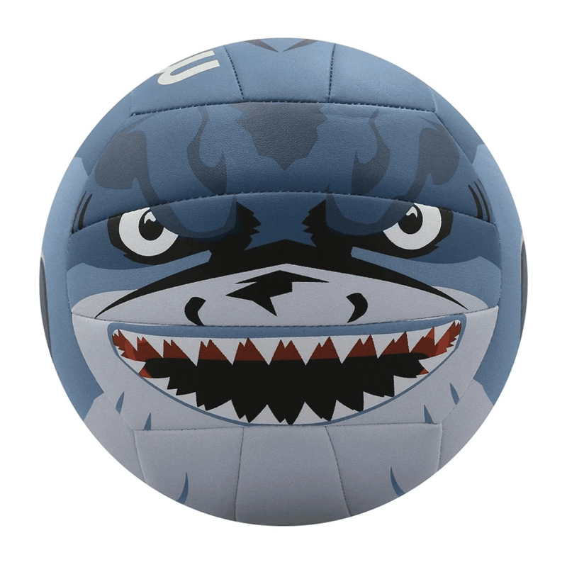 BALON DE VOLEIBOL MOLTEN SHARK 2 | MO22233 - 1