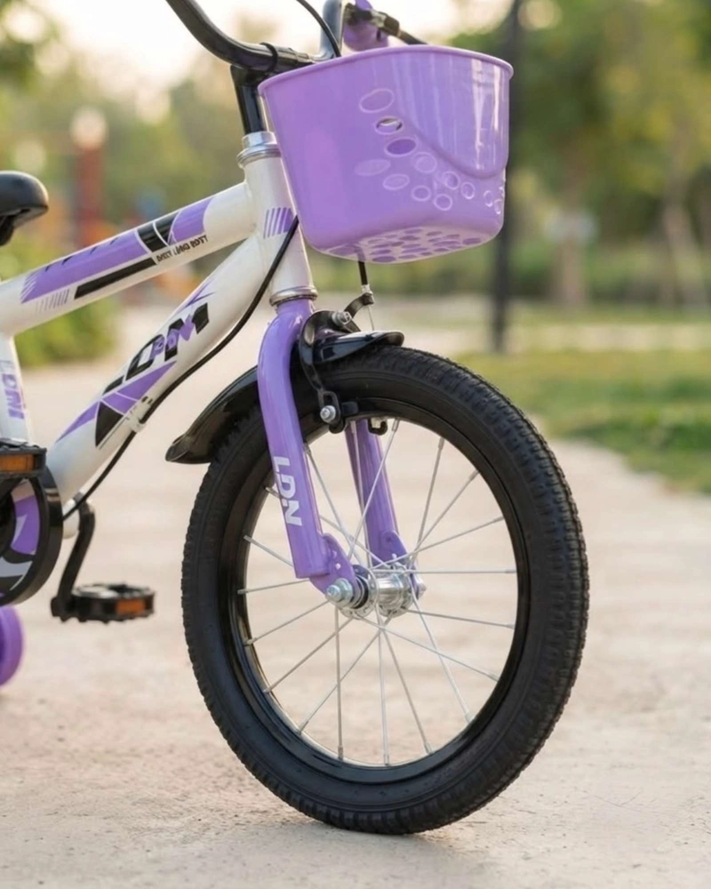 BICICLETA INFANTIL ARO 12 CON KIT DE PROTECCION Y RUEDAS DE ENTRENAMIENTO - 6