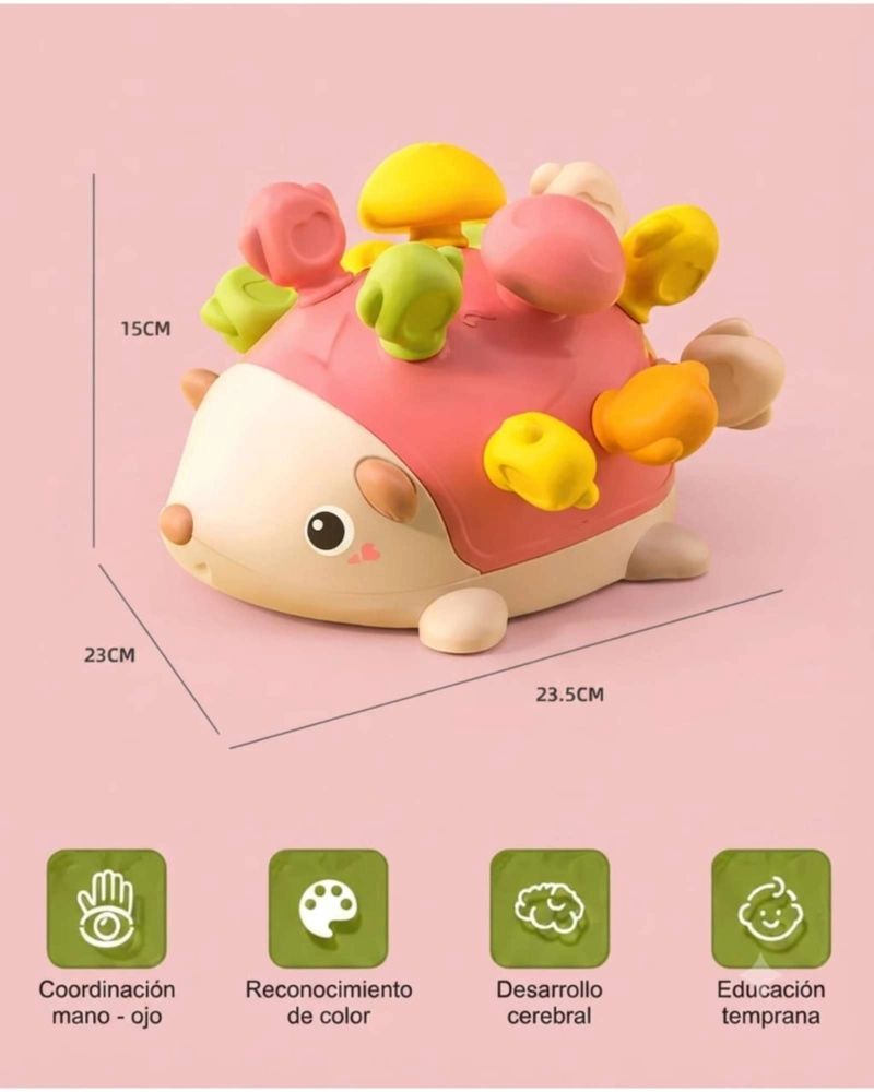 ERIZO SENSORIAL DE ENCAJE JUEGO DE MOTRICIDAD FINA PARA BEBE S01 - 6