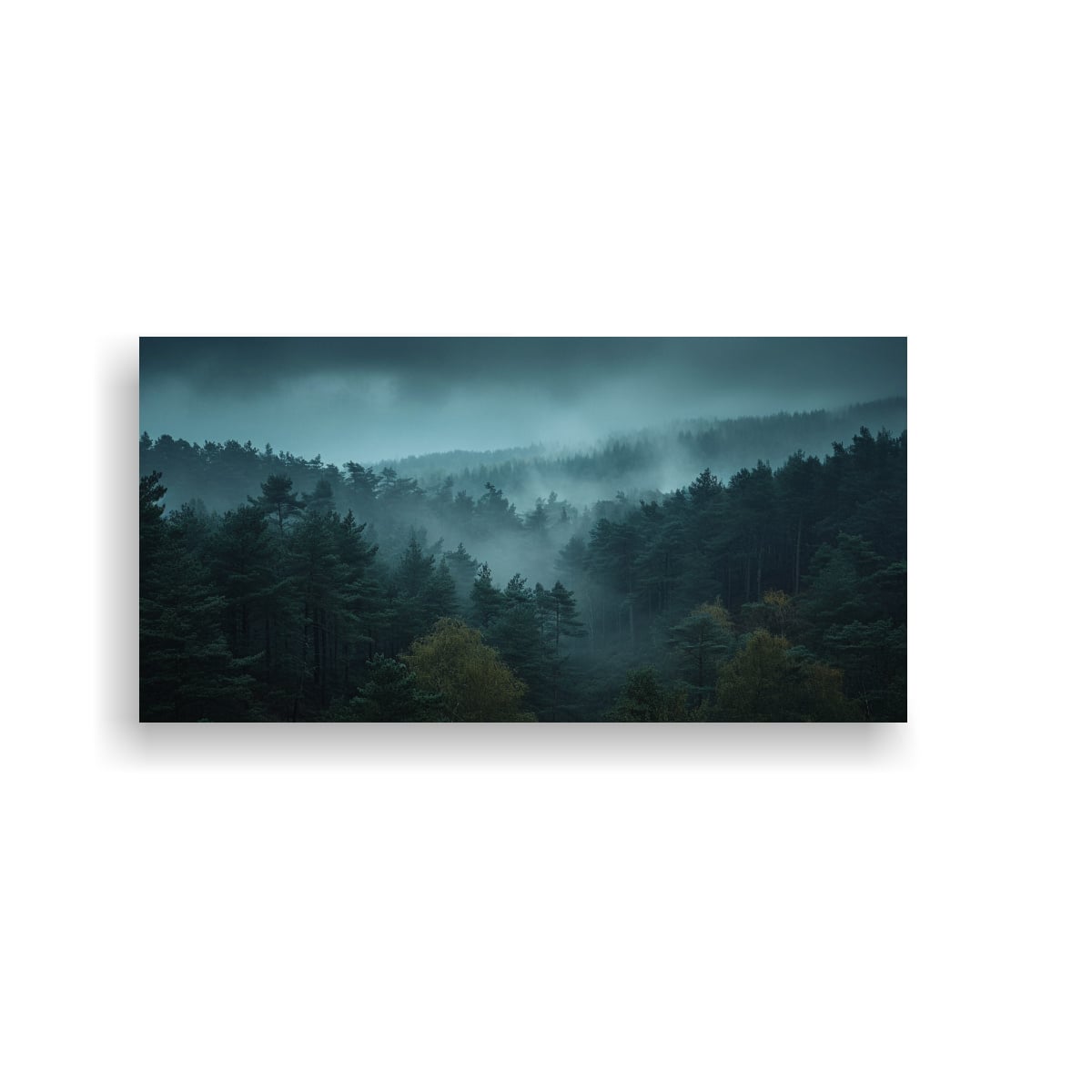 CUADRO EN BASTIDOR ABSTRACTO BOSQUE OSCURO DESDE 60X30 CM - 1