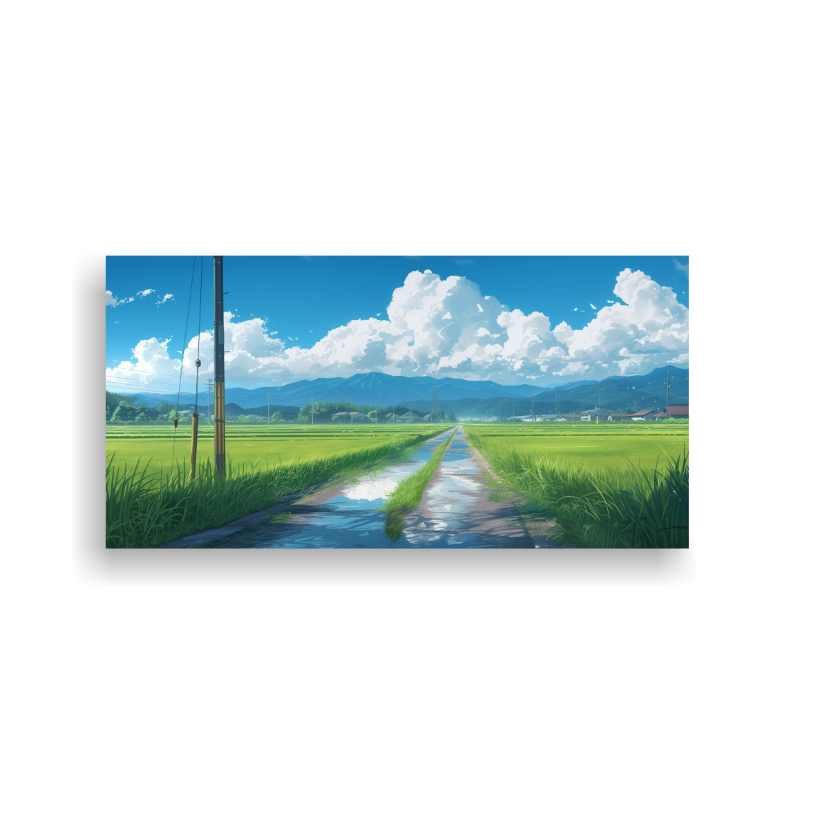 PINTURAS DE PAISAJES DE VERANO EN ARROZALES 80X40 CM - 1