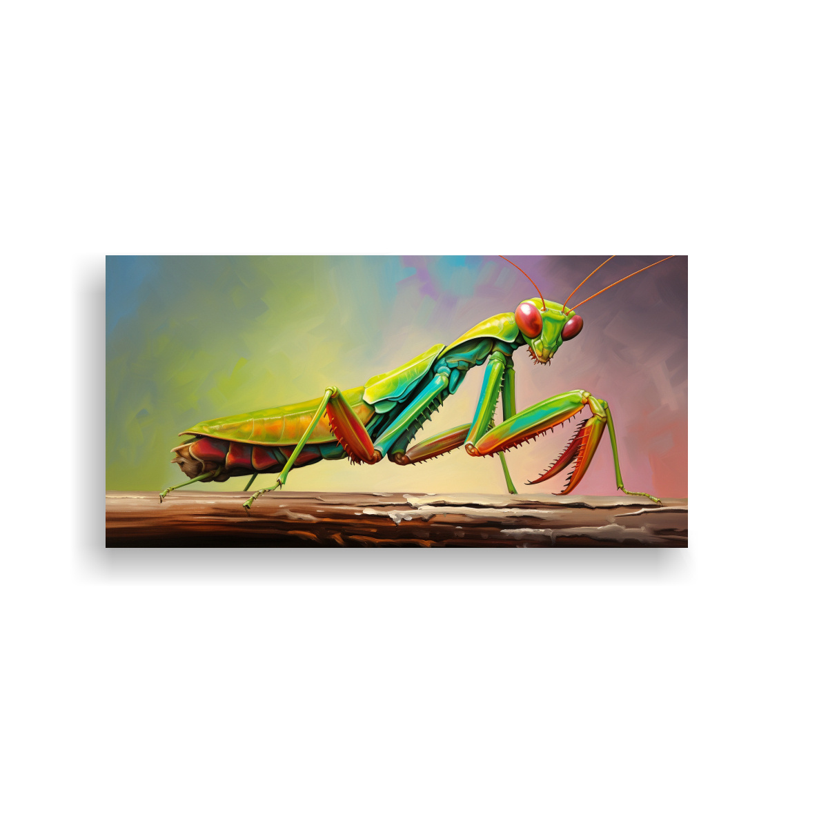 PINTURA COLORIDA ESTILO ESTILO ÓLEO DE MANTIS 60X30 CM - 1