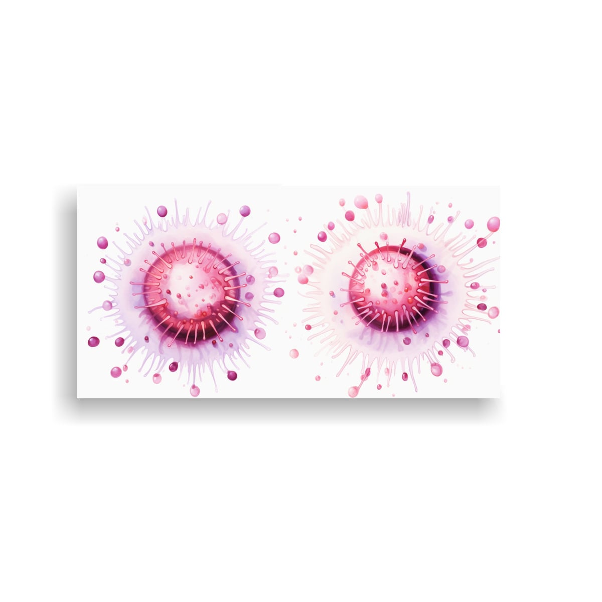PINTURAS DECORATIVAS DE ERIZOS DE MAR EN 160X80 CM - 1