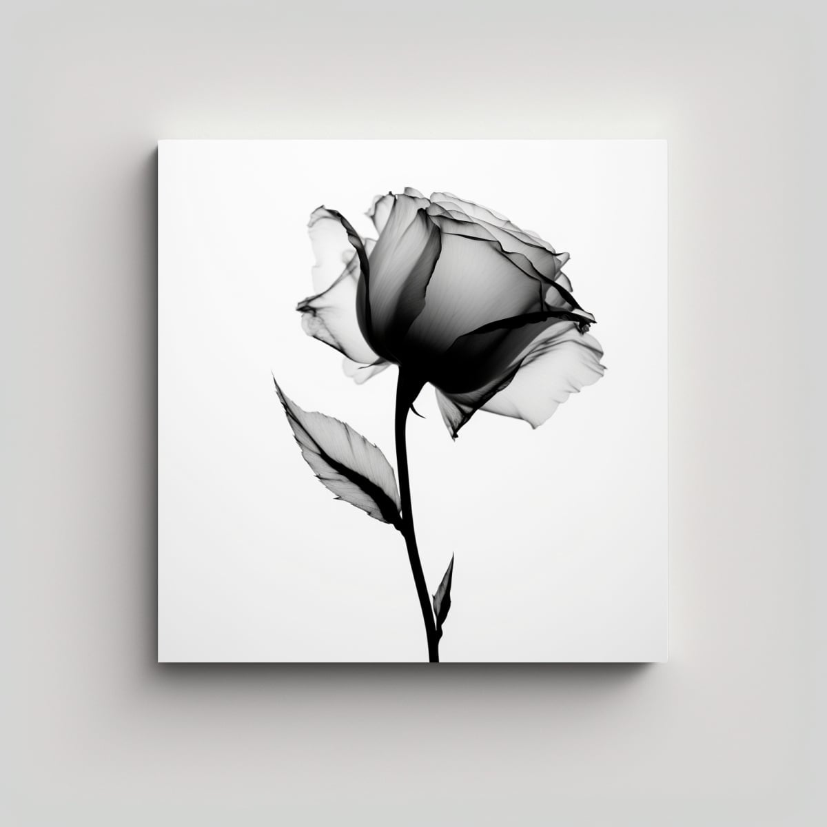 PINTURA DECORATIVA DE LIENZO VANGUARDISTA EN 80X80 CM - 1