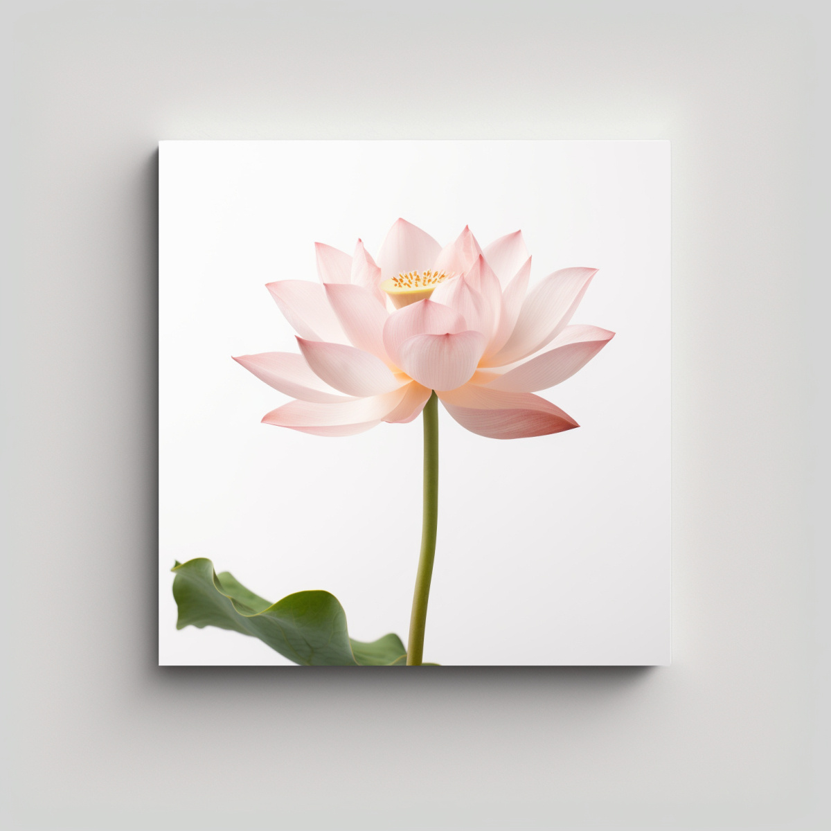 ARTE MINIMALISTA REFINADO DE FLOR DE LOTO EN 60X60 CM - 1