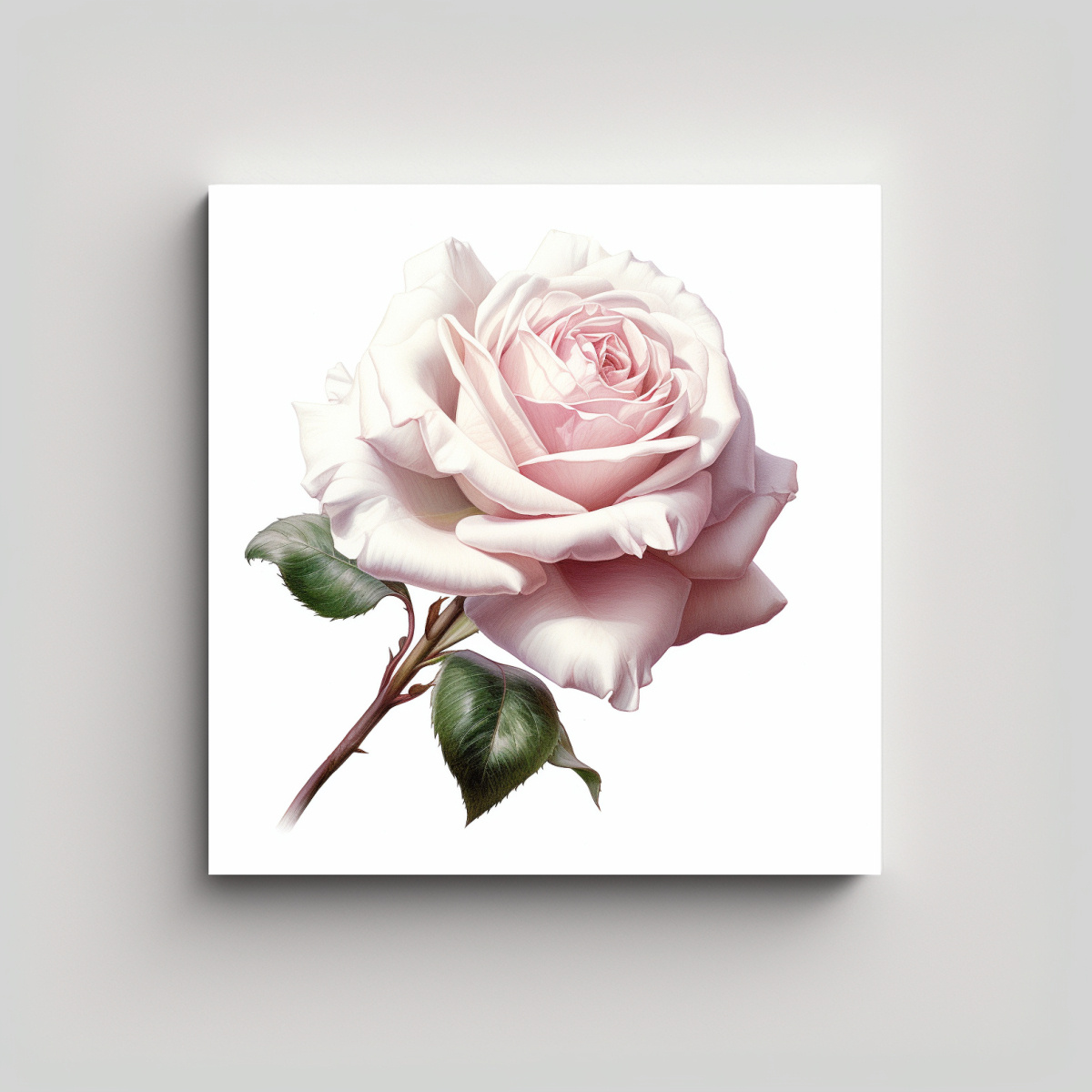 CLÁSICO LIENZO DE ALTA CALIDAD: ROSA BLANCA CON 20X20 CM - 1