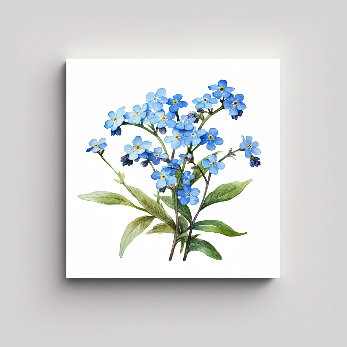 ARTE URBANO VINTAGE DE MYOSOTIS EN ACUARELA 70X70 CM - 1