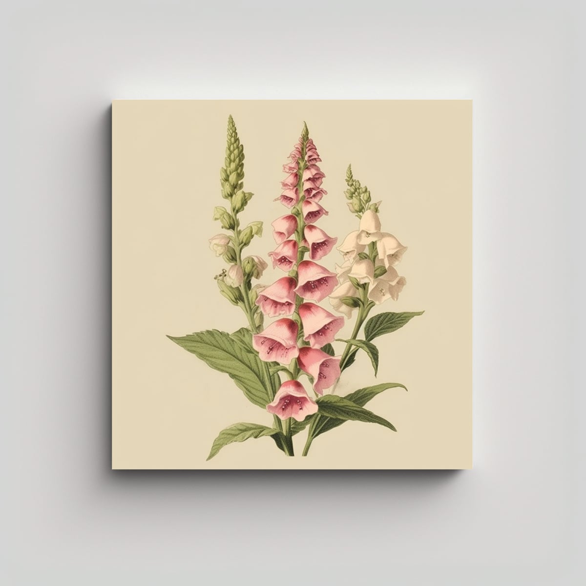 ILUSTRACIÓN VICTORIAN BOTÁNICA DE FOXGLOVE PARA 20X20 CM - 1