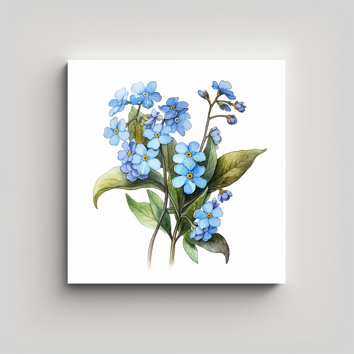 ILUSTRACIÓN BOTÁNICA DE FLORES FORGET-ME-NOT EN 90X90 CM - 1
