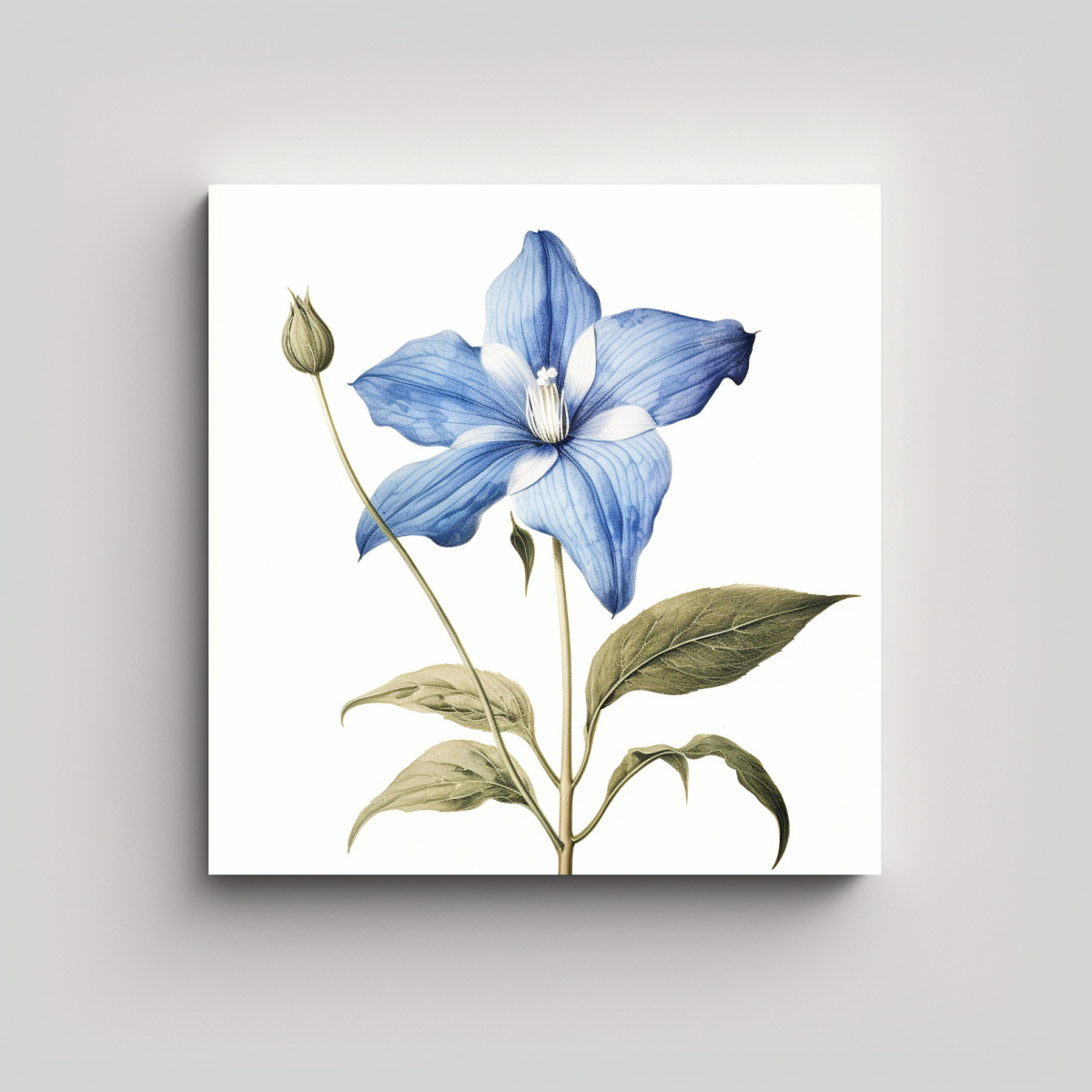 ILUSTRACIÓN VINTAGE DE FLOR AZUL EN CUADRO 40X40 CM - 1