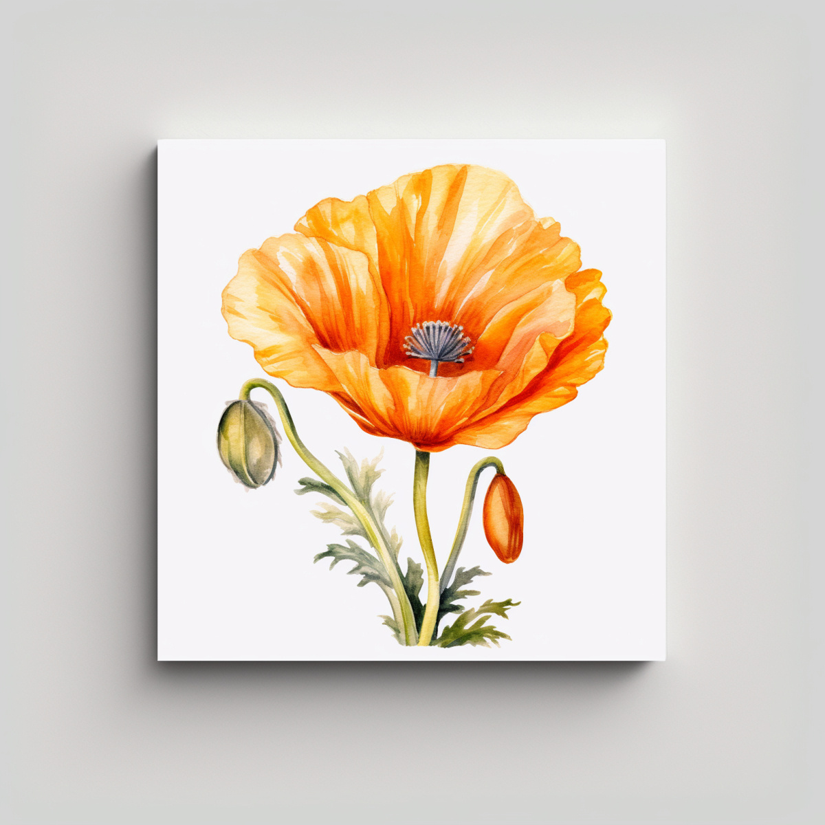 ILUSTRACIÓN DETALLADA DE AMAPOLA CALIFORNIANA EN 30X30 CM - 1