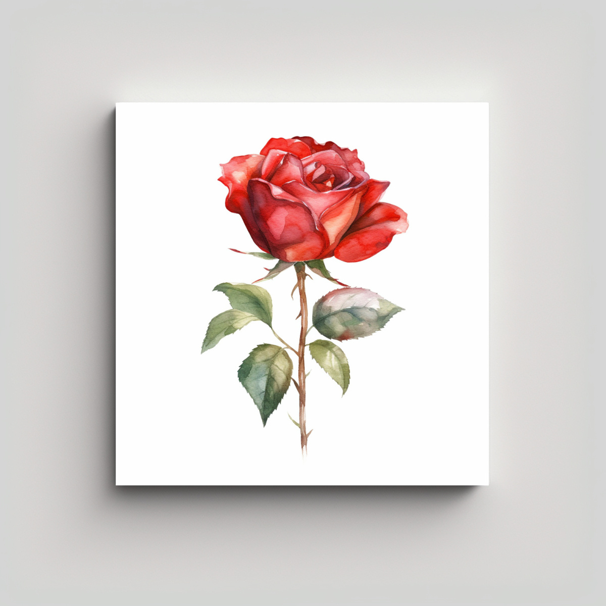 CUADRO ELEGANTE DE ROSA ROJA EN ACUARELA Y 60X60 CM - 1
