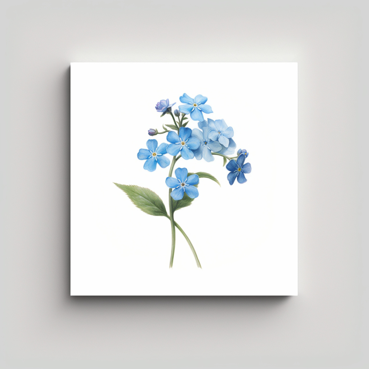 CUADRO MODERNO FORGETMENOT: ESTILO ÓLEO 40X40 CM - 1