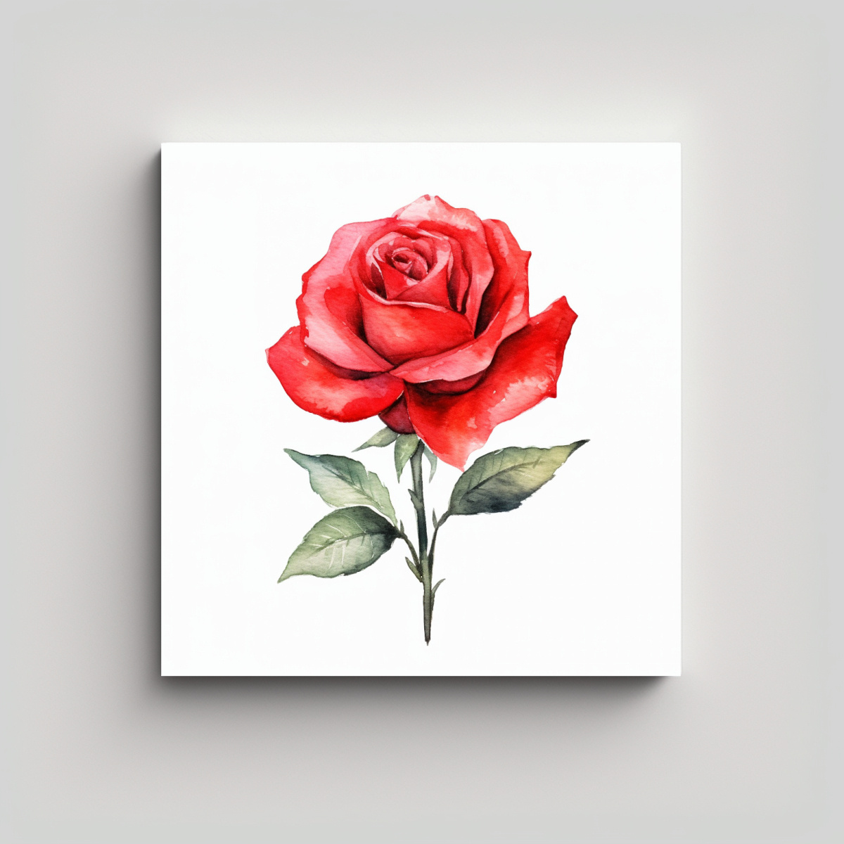 FOTOGRAFÍA DE ROSA ROJA ACUARELA - BELLEZA 30X30 CM - 1