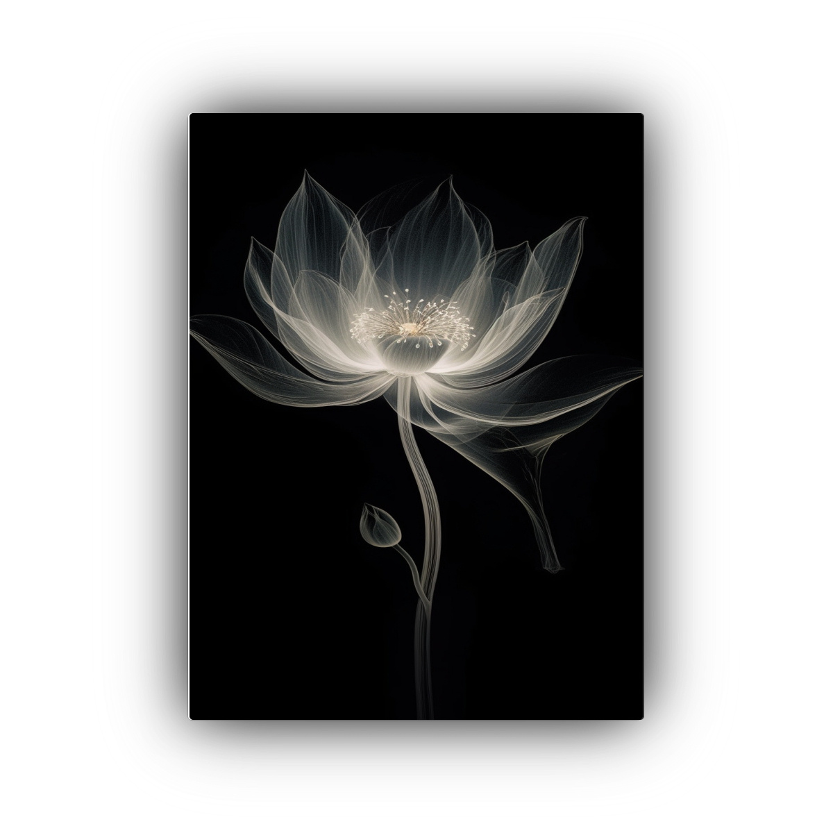 CUADRO CULTURAR LOTUS CON MACROFOTOGRAFÍA 40X60 CM - 1
