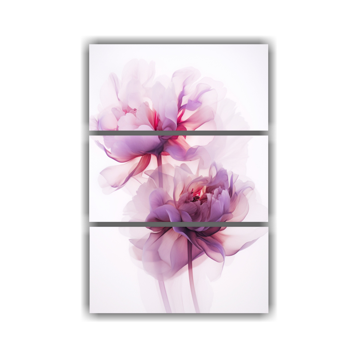 CUADROS ABSTRACTOS DE PEONÍAS SEMITRANSPARENTES 80X120 CM - 1