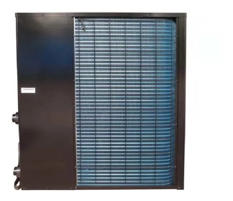 BOMBAS DE CALOR DUNNER ECOPOWER-21 PISCINA DE HASTA 100M3 - 2