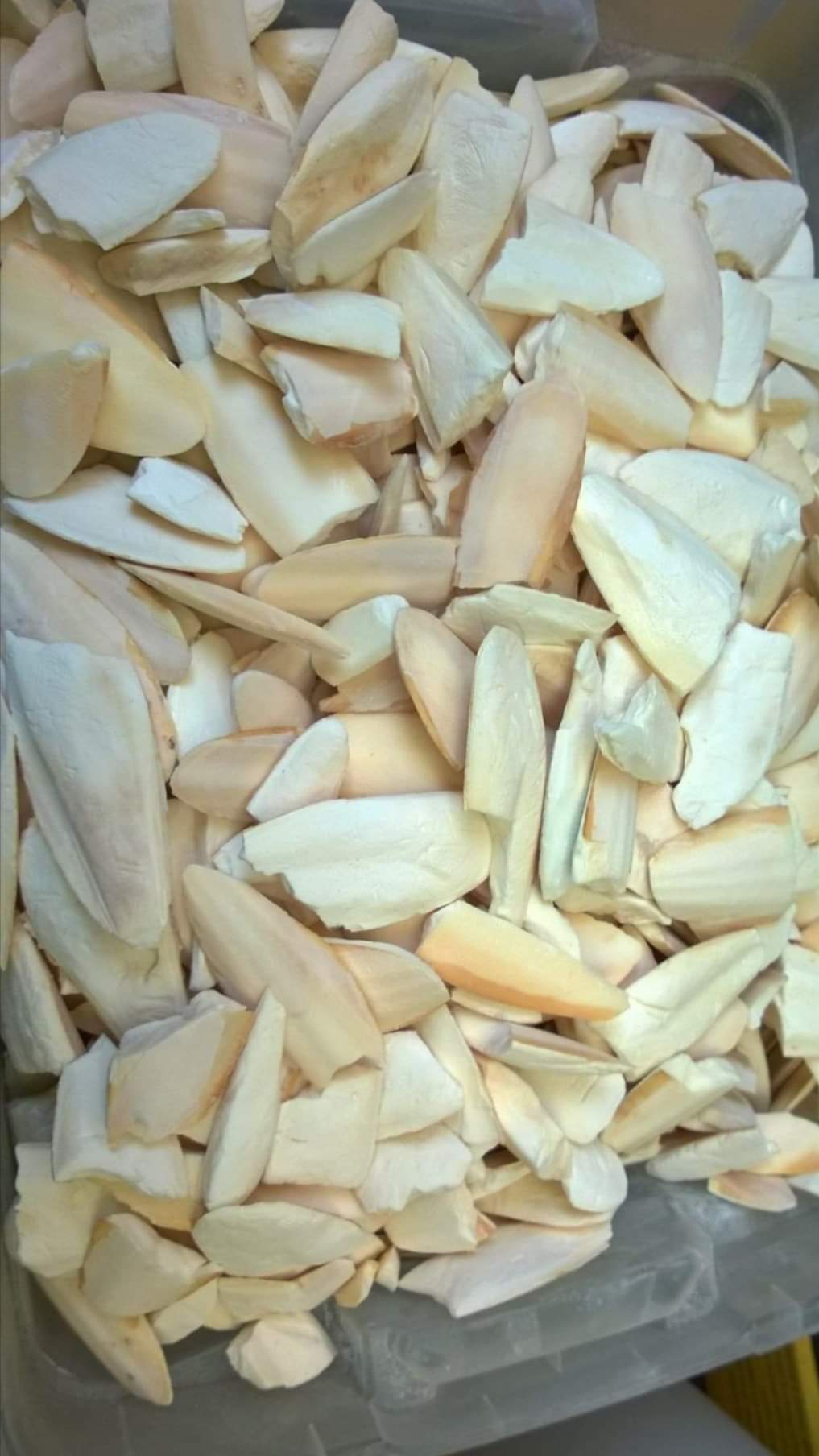 SUPLEMENTO AVES REPTILES HUESO DE JIBIA PARTIDO 1/4 KG CALCIO - 1