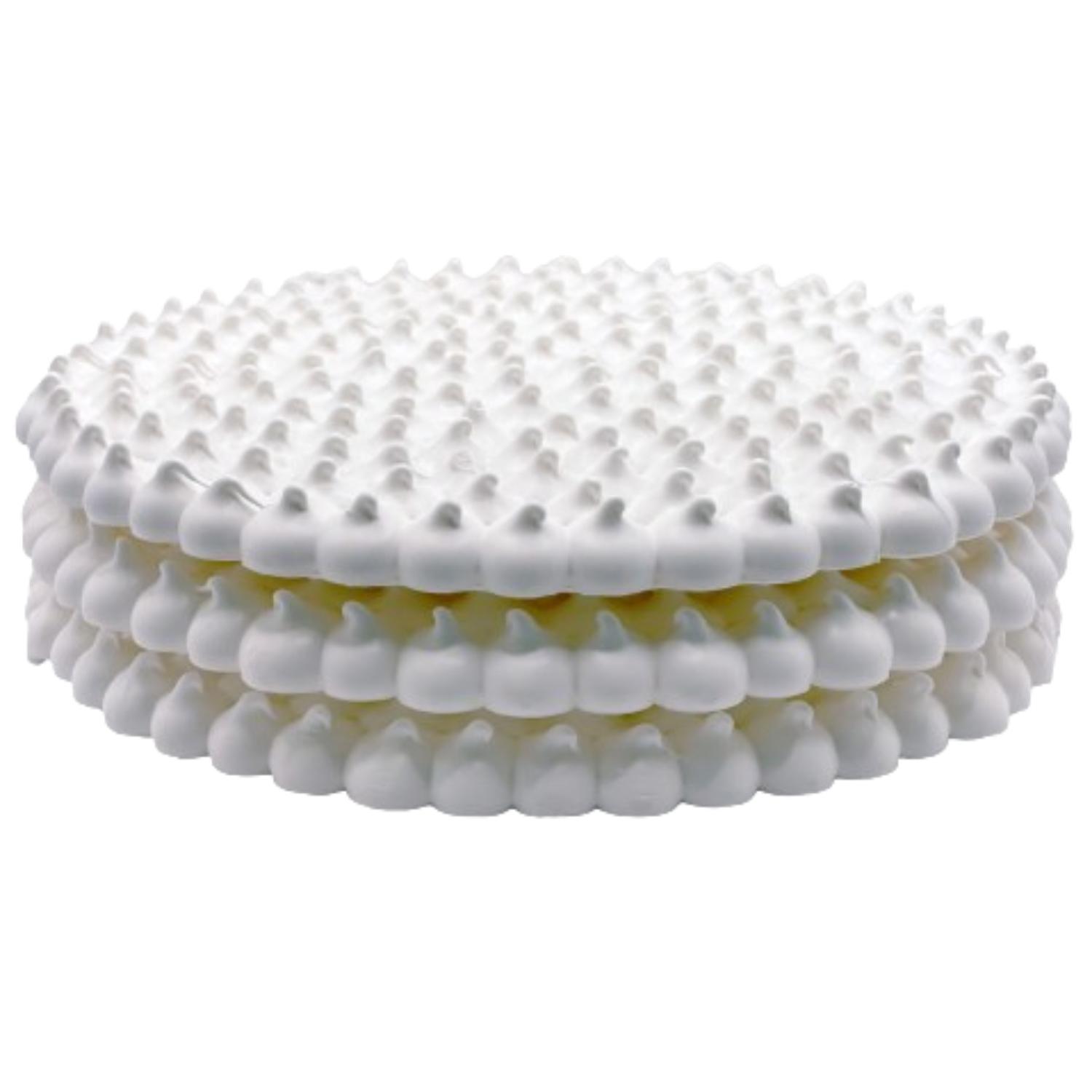 DISCO 3 UN MERENGUE N12 19.5 CM - 1