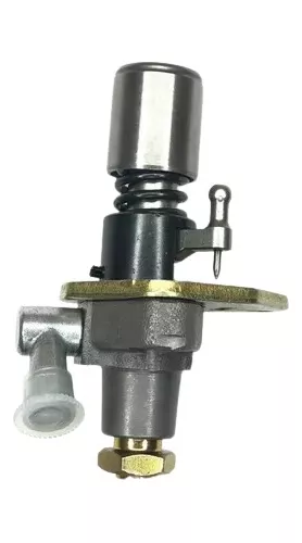 BOMBA INYECTORA PARA MOTOR 178F - GRATIS - 1