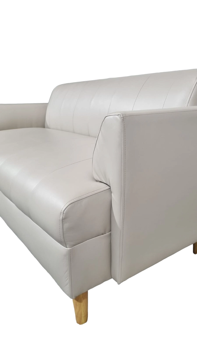 SOFÁ DISEÑOS VALESTRINI 2 CUERPOS BEIGE IRLANDA ECOCUERO - 3