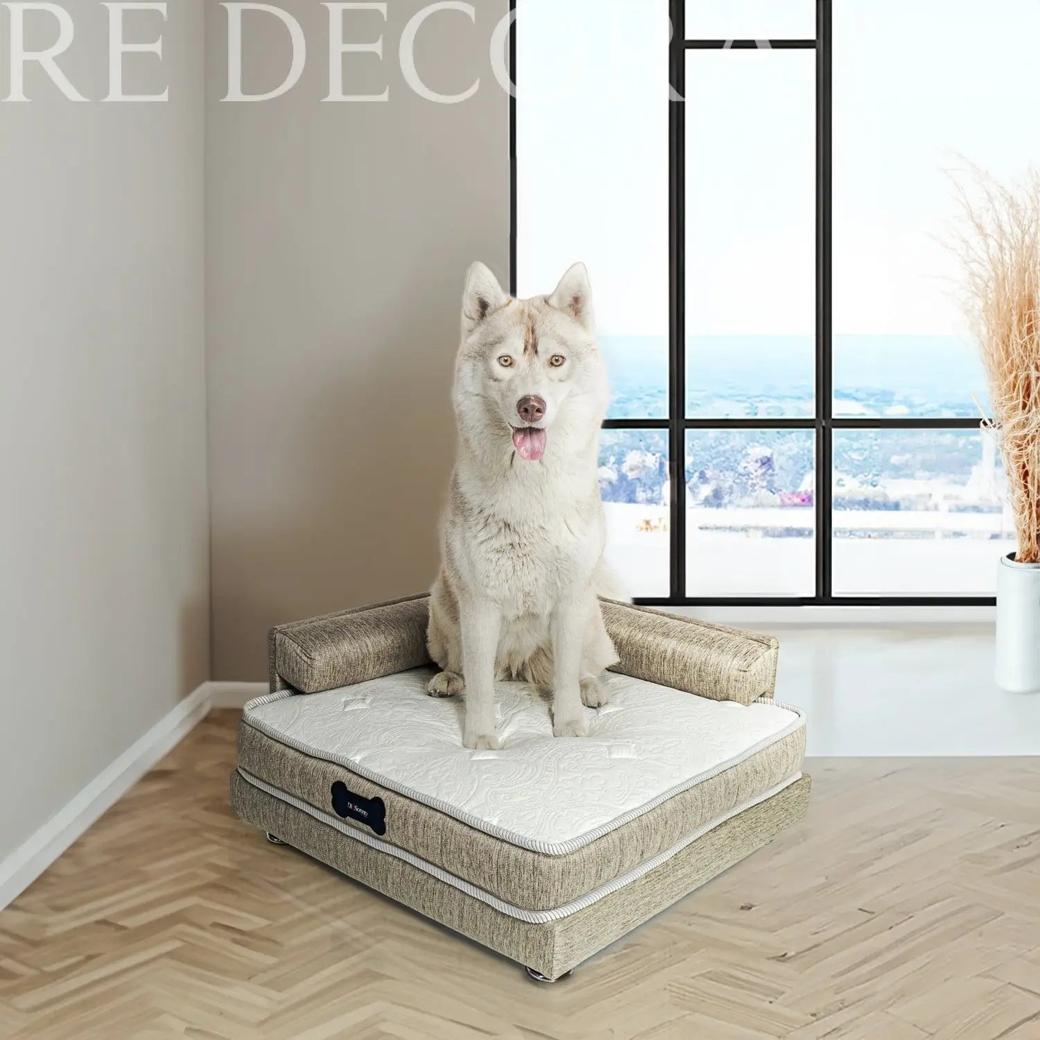 CAMA PERROS GATOS MAGNIFIC RE DECORA - 1