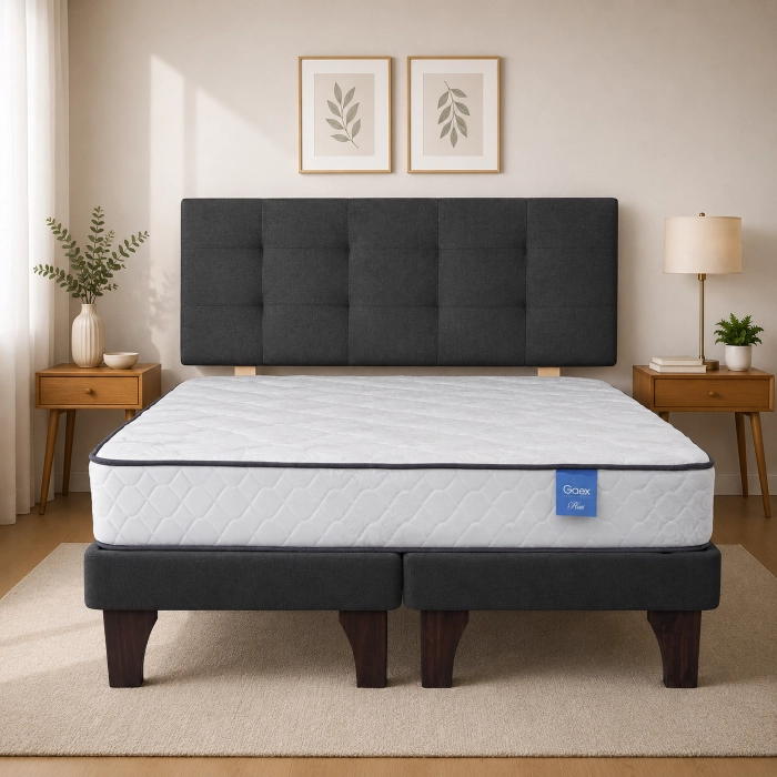 CAMA EUROPEA 2 PLAZAS 190 REST RESPALDO GINEBRA - 1