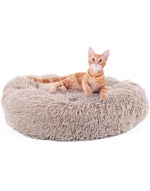 CAMA COJIN CHIPORRO REDONDO 60CM BEIGE - 3
