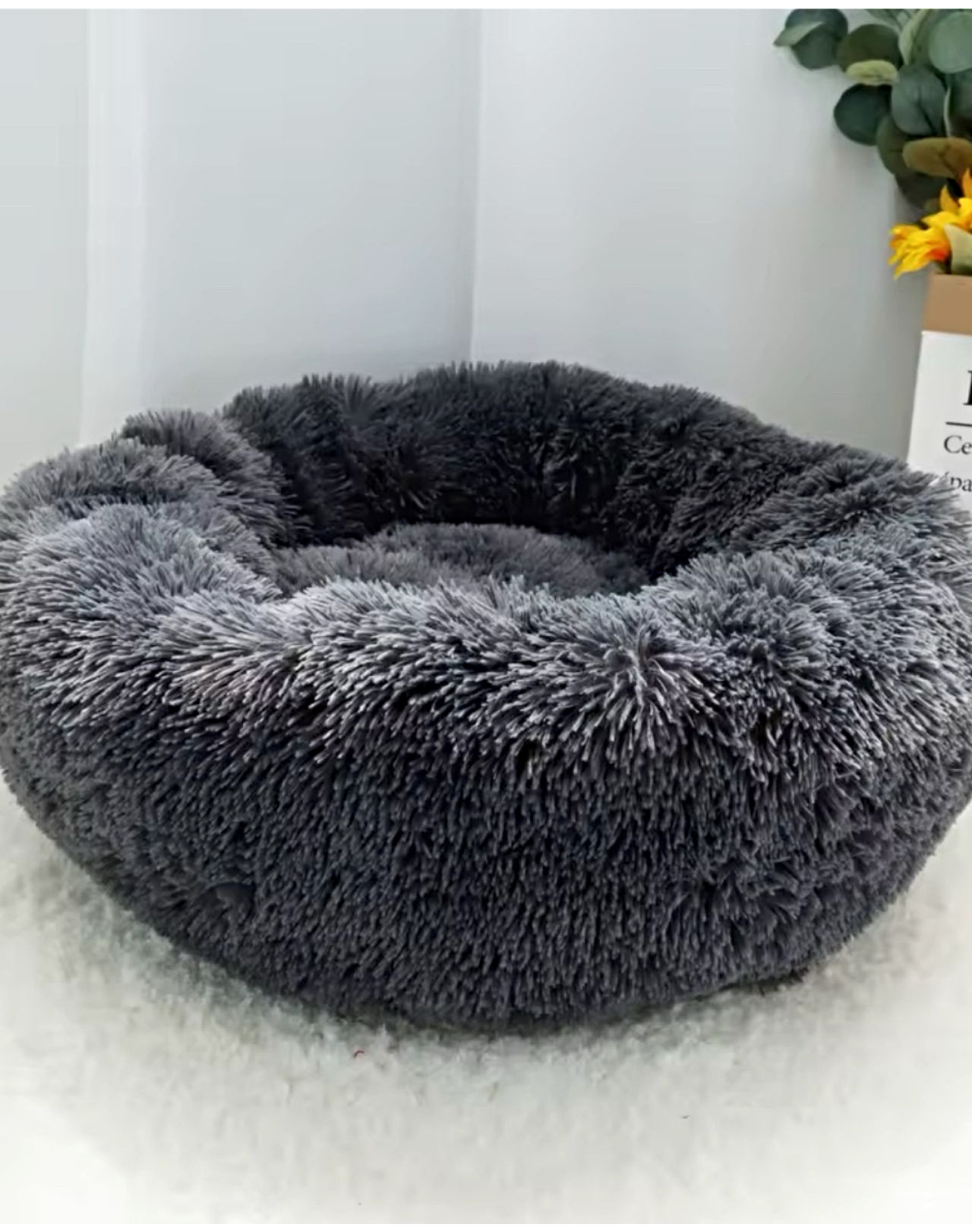 CAMA COJIN CHIPORRO REDONDO 60CM NEGRO - 2